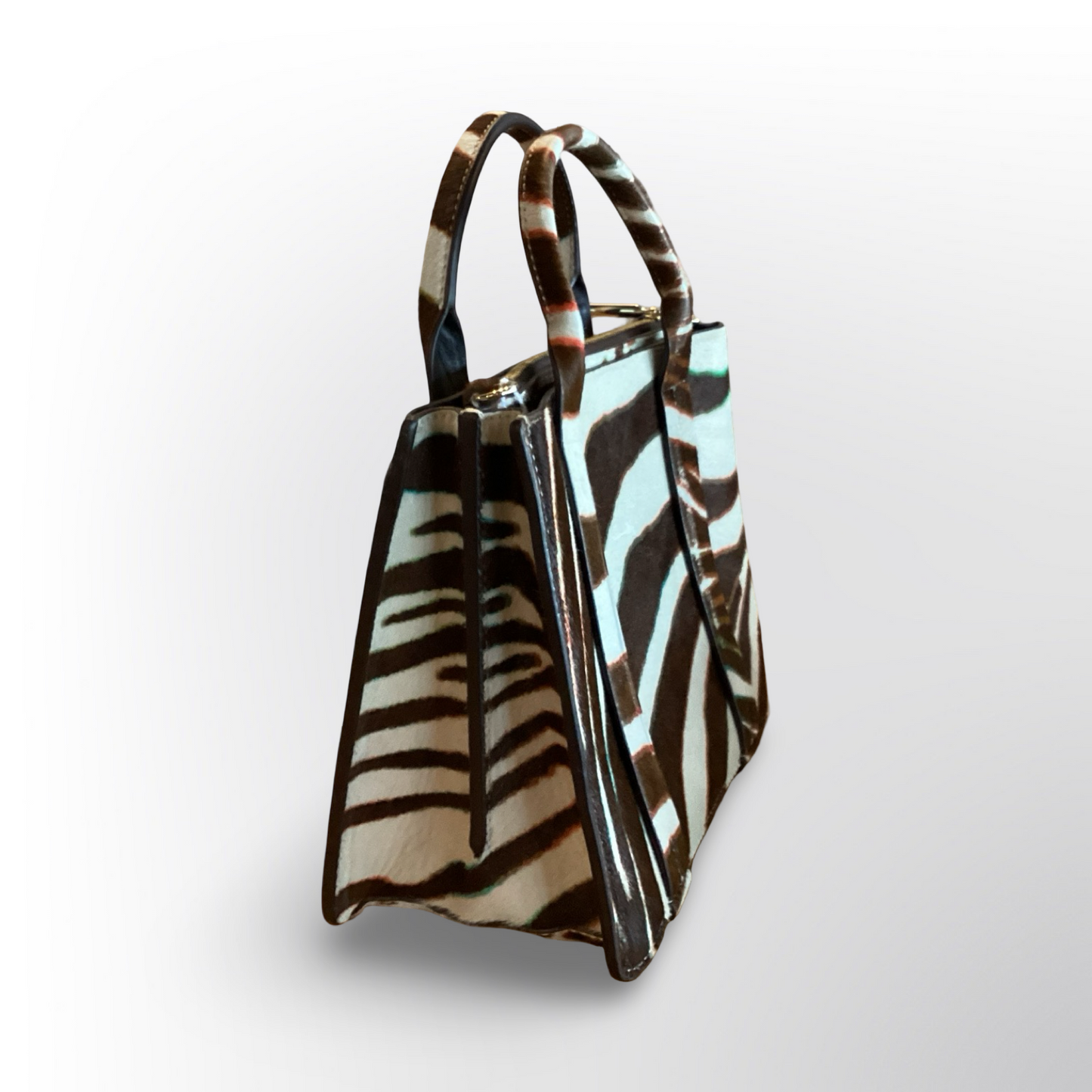 Theory Zebra Bag