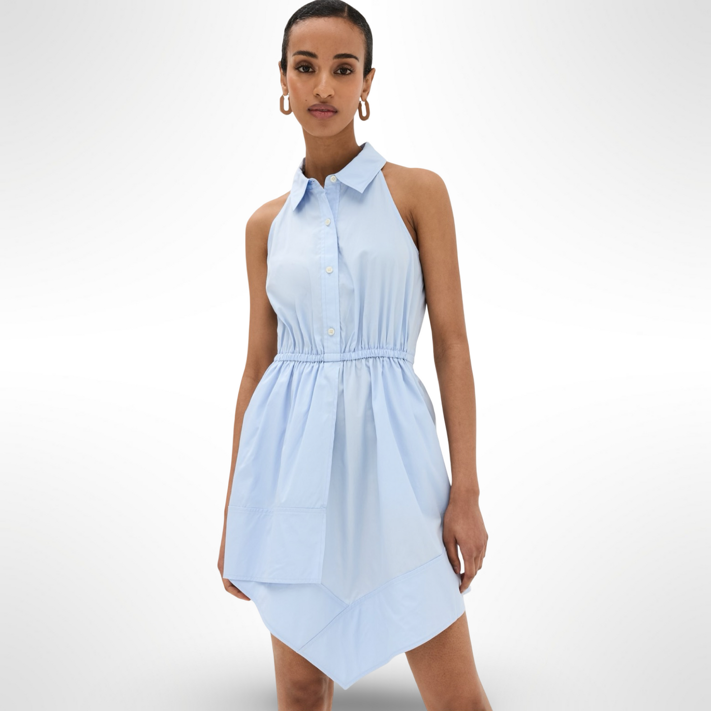 ALC Aria Poplin Dress