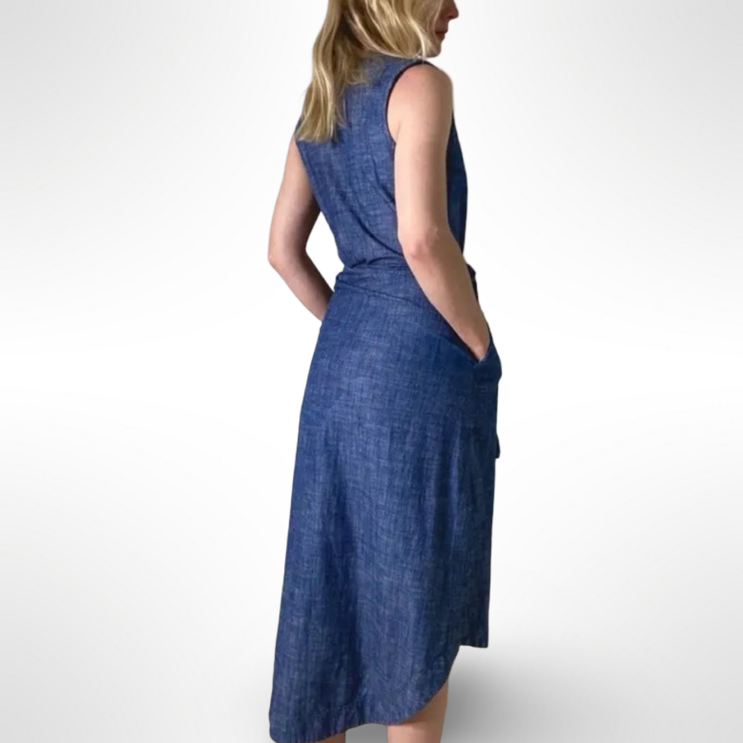 Ajaie Alaie Chambray Dress