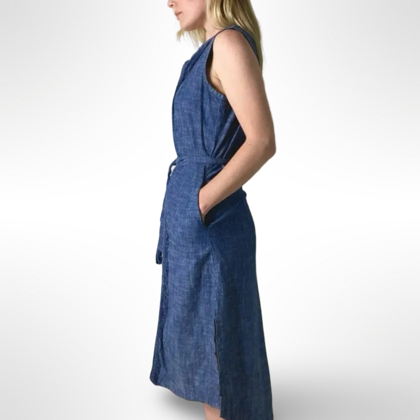 Ajaie Alaie Chambray Dress