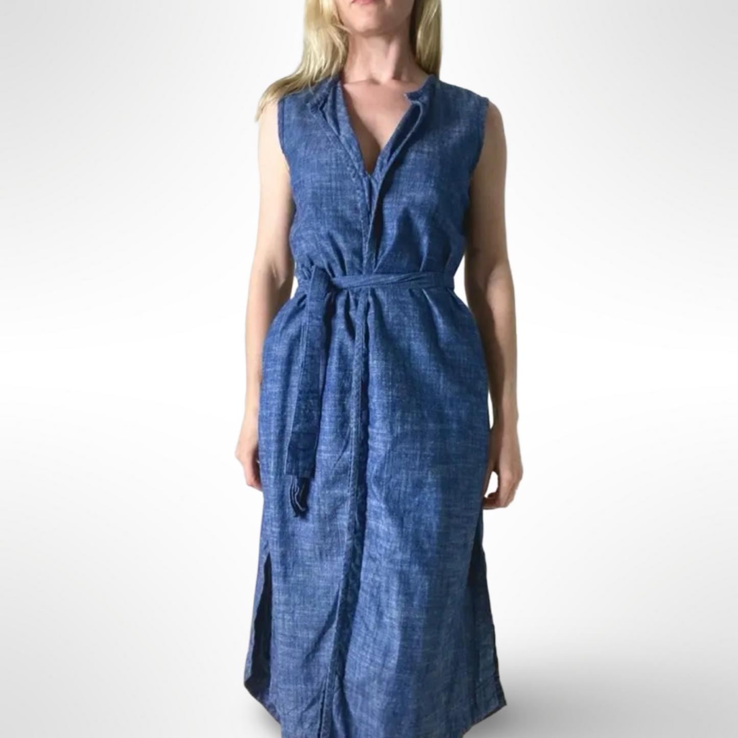 Ajaie Alaie Chambray Dress