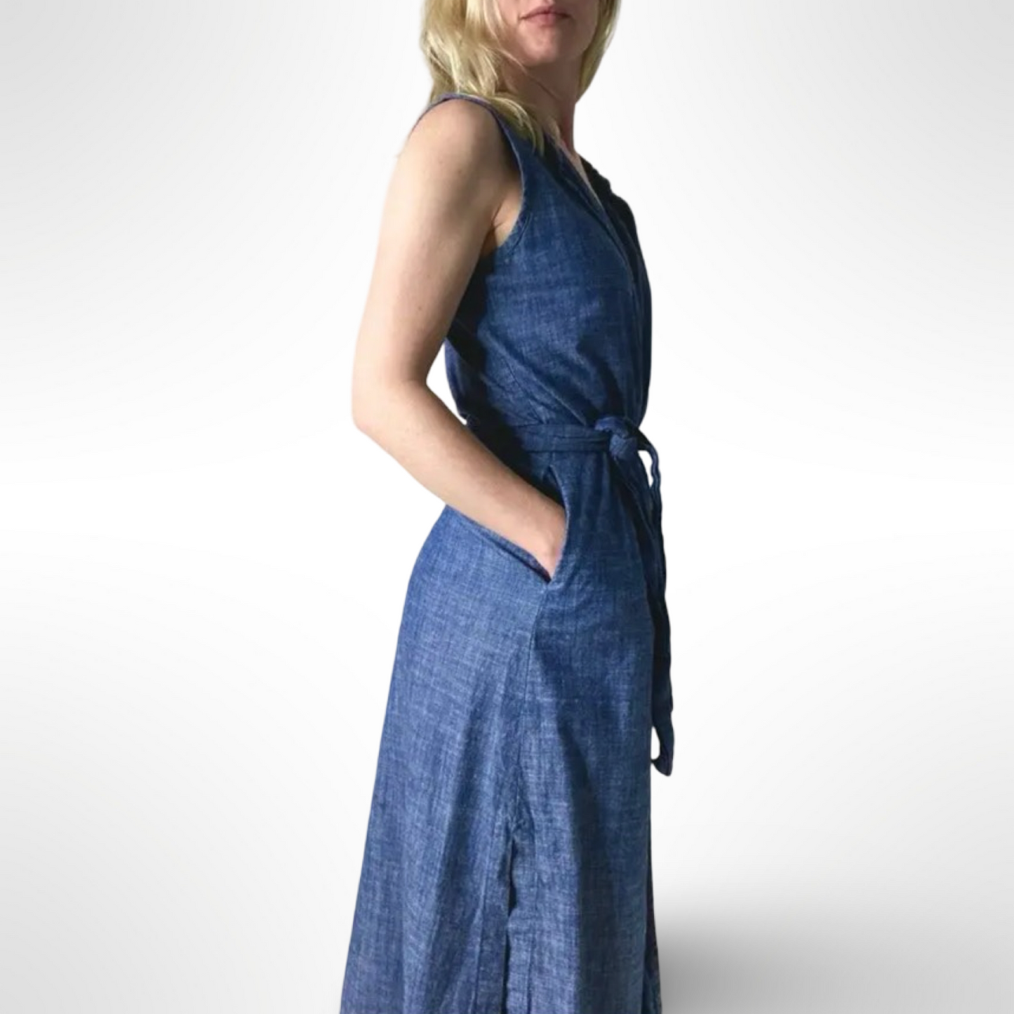 Ajaie Alaie Chambray Dress