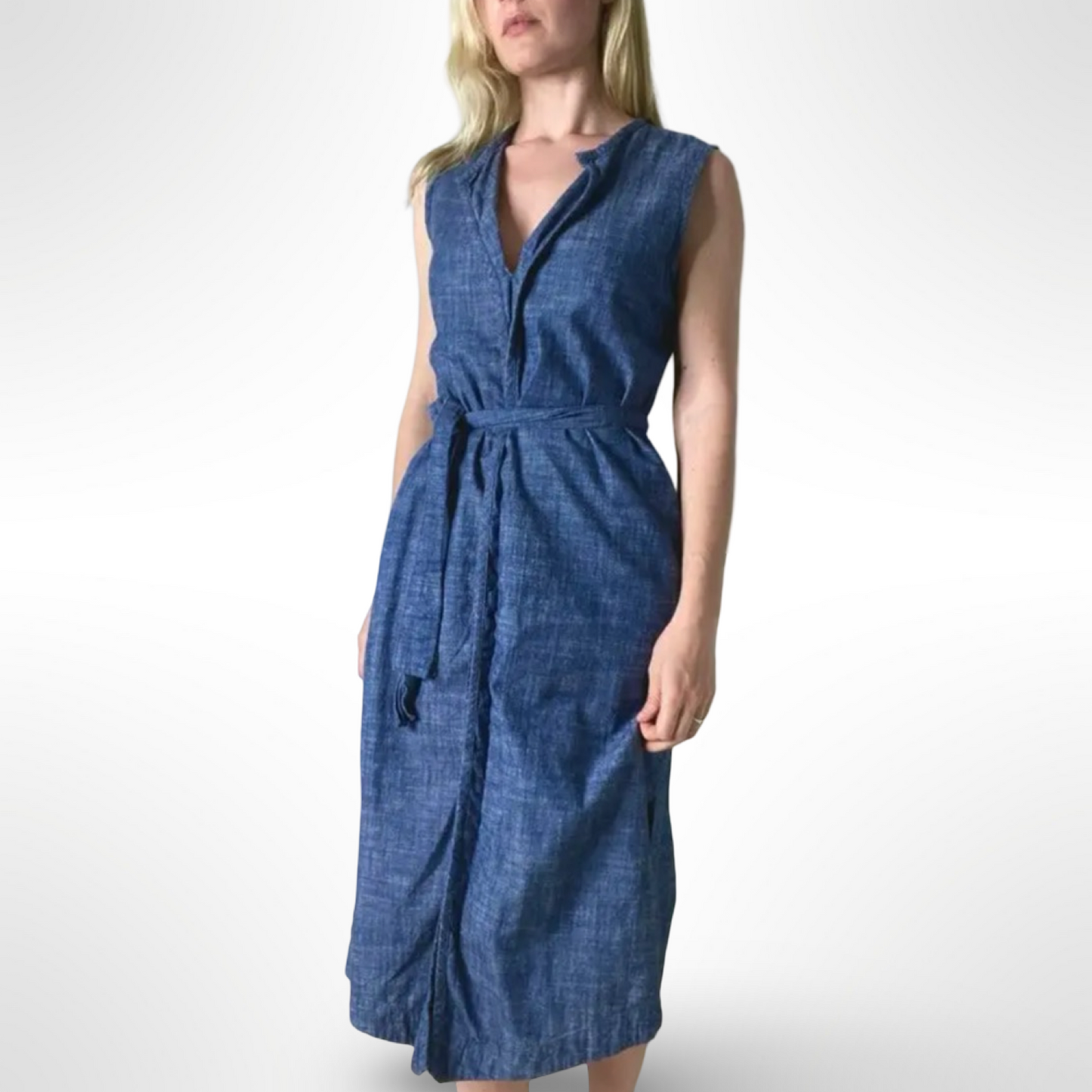 Ajaie Alaie Chambray Dress